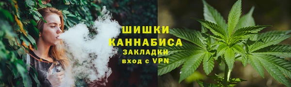 ешки Новозыбков