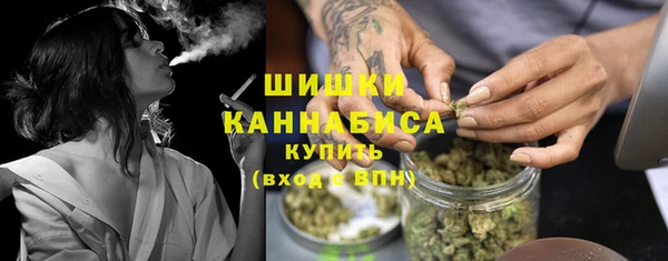 шишки Нея