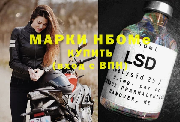 шишки Нея