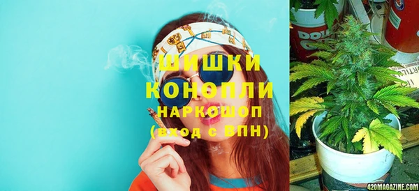 шишки Нея