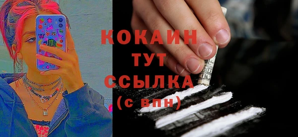 стаф Новокубанск