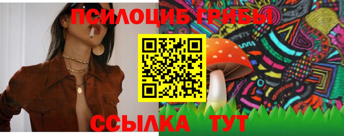 Полысаево  Псилоцибиновые грибы ЛСД  Псилоцибиновые грибы мухоморы  Вход с VPN 