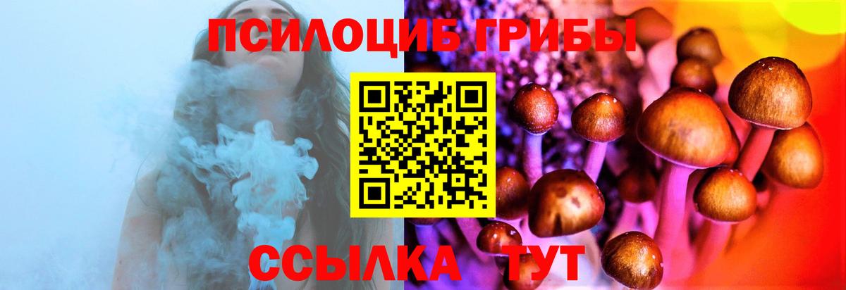 Галлюциногенные грибы мухоморы  цены наркотик  Псилоцибиновые грибы Cubensis  Полысаево 